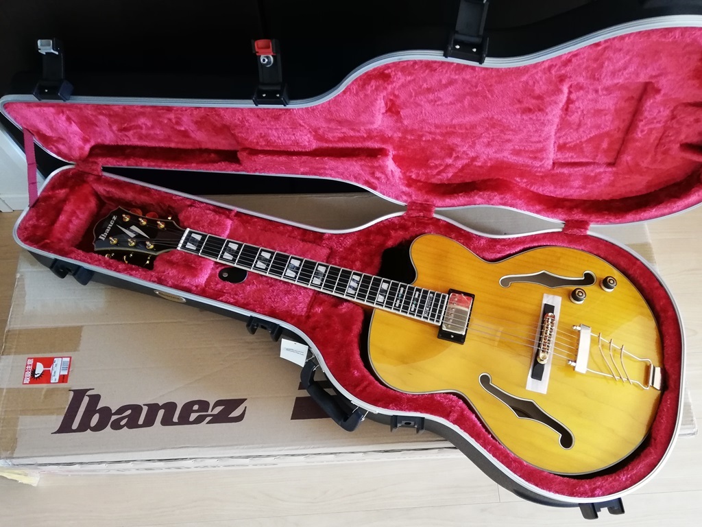 Ibanez PM2AA パットメセニー 龍角散「セクハラ社長