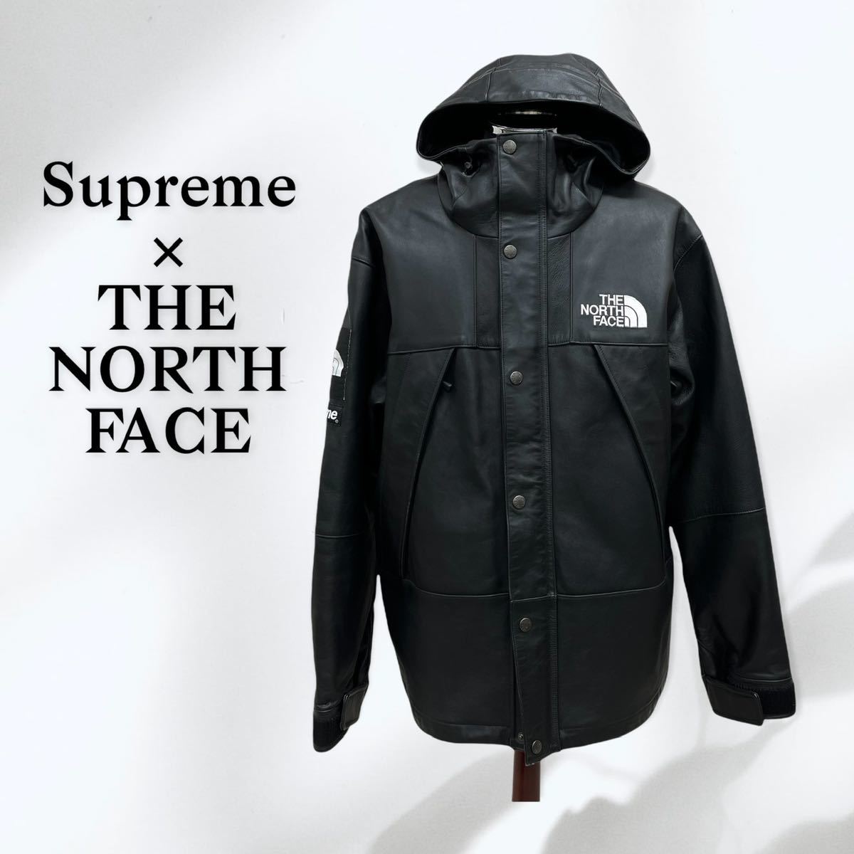 Supreme THE NORTH FACE 18AW Leather Mountain Parka シュプリーム ザ