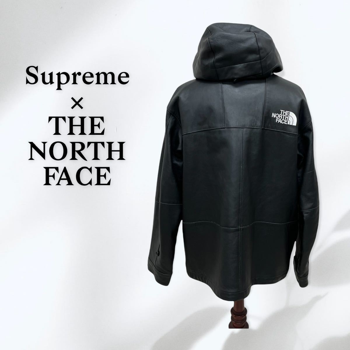 Supreme THE NORTH FACE 18AW Leather Mountain Parka Supreme THE NORTH FACE 18AW Leather Mountain Parka