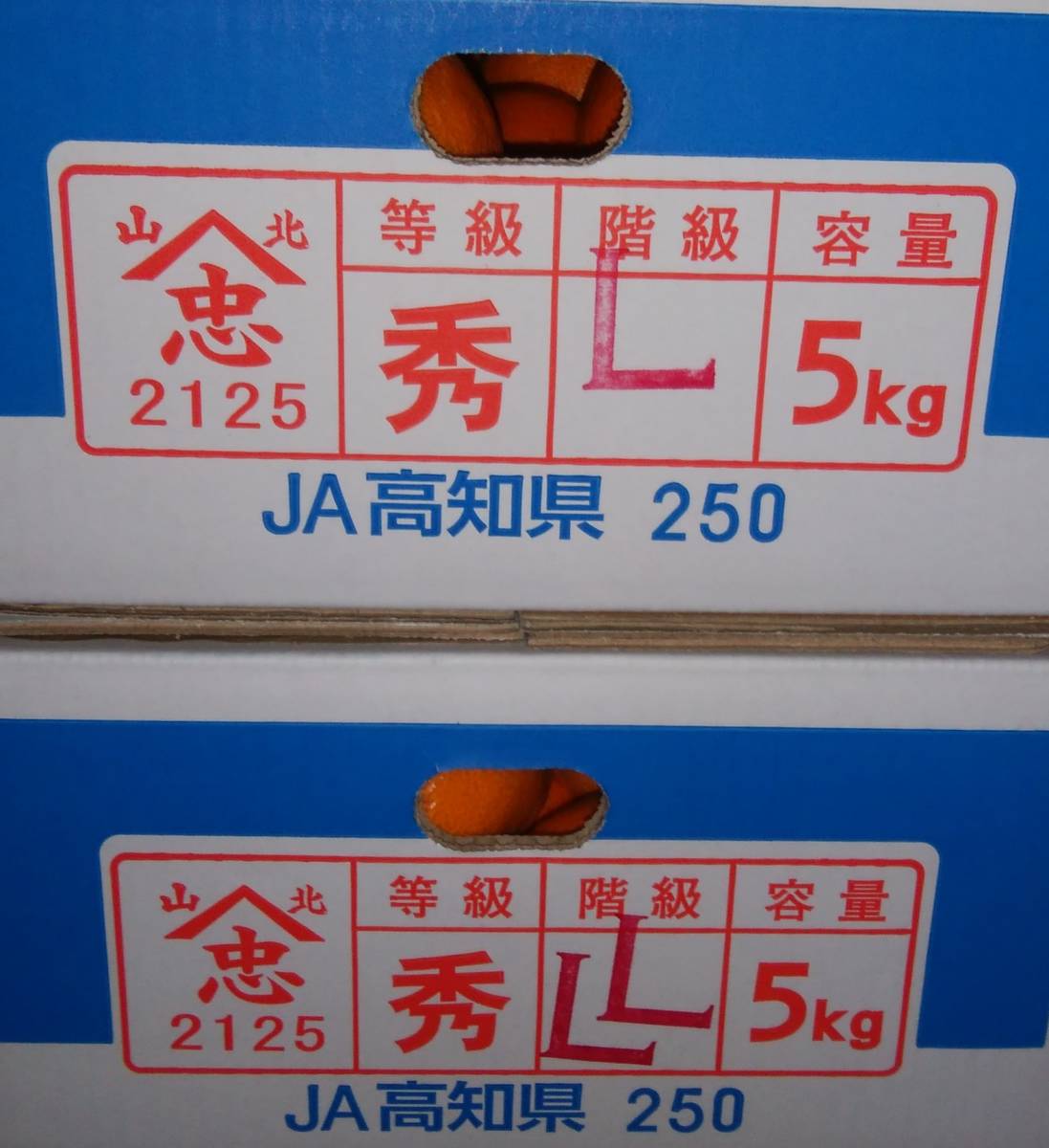 【高知県産】高知県トップブランド　山北みかん　興津　L～２Lサイズ　忠　秀　約5㎏　ご家庭用　★ 　_画像6