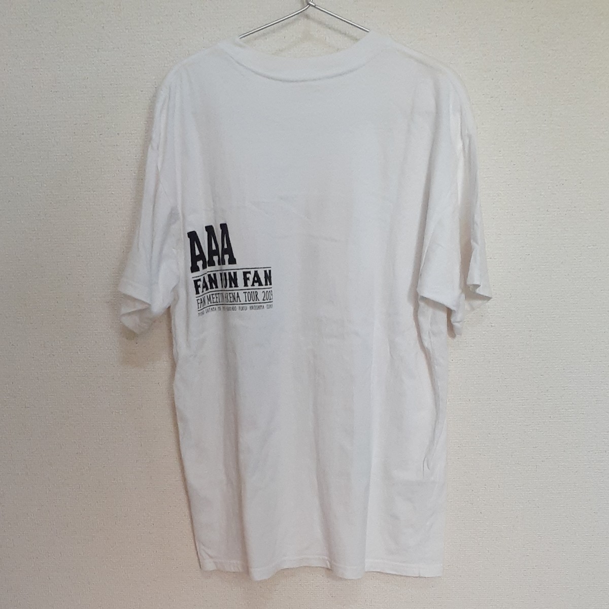AAA　ファンミーティング2019 FANFUNFAN ライブTシャツ  L
