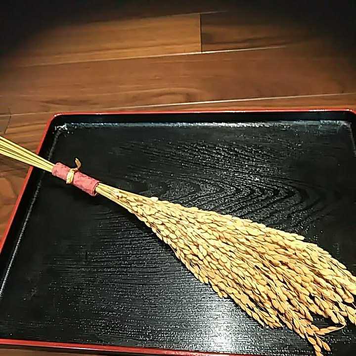 稲穂　ドライフラワ―　お米飾り　工作用お米の穂_画像1
