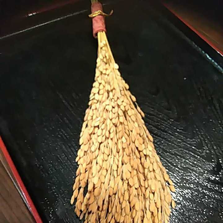 稲穂　ドライフラワ―　お米飾り　工作用お米の穂_画像3