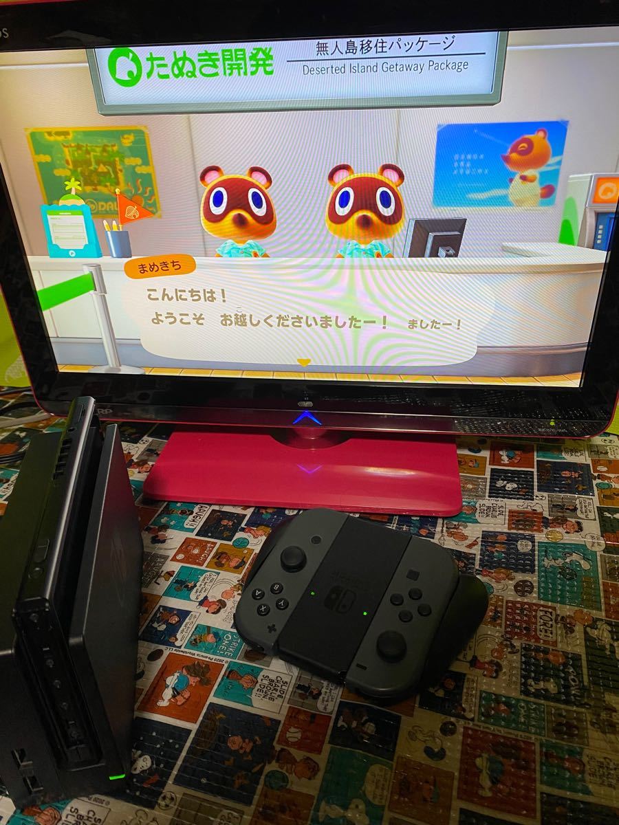 Nintendo Switch Joy-Con （L）/（R） グレー HAC-S-KAAAA