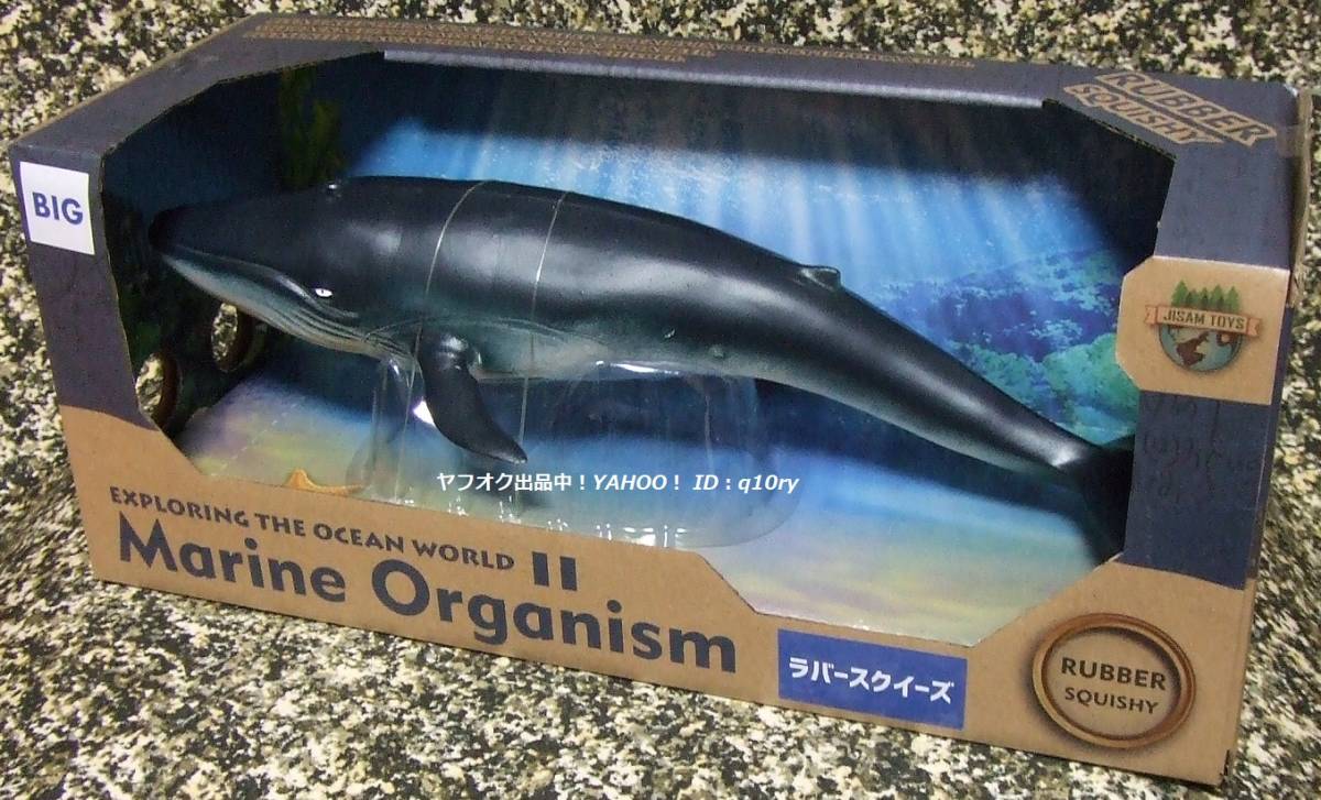 ナガスクジラ/フィギュア 約34cm【BIG マリン オーガニズム】クジラ 鯨