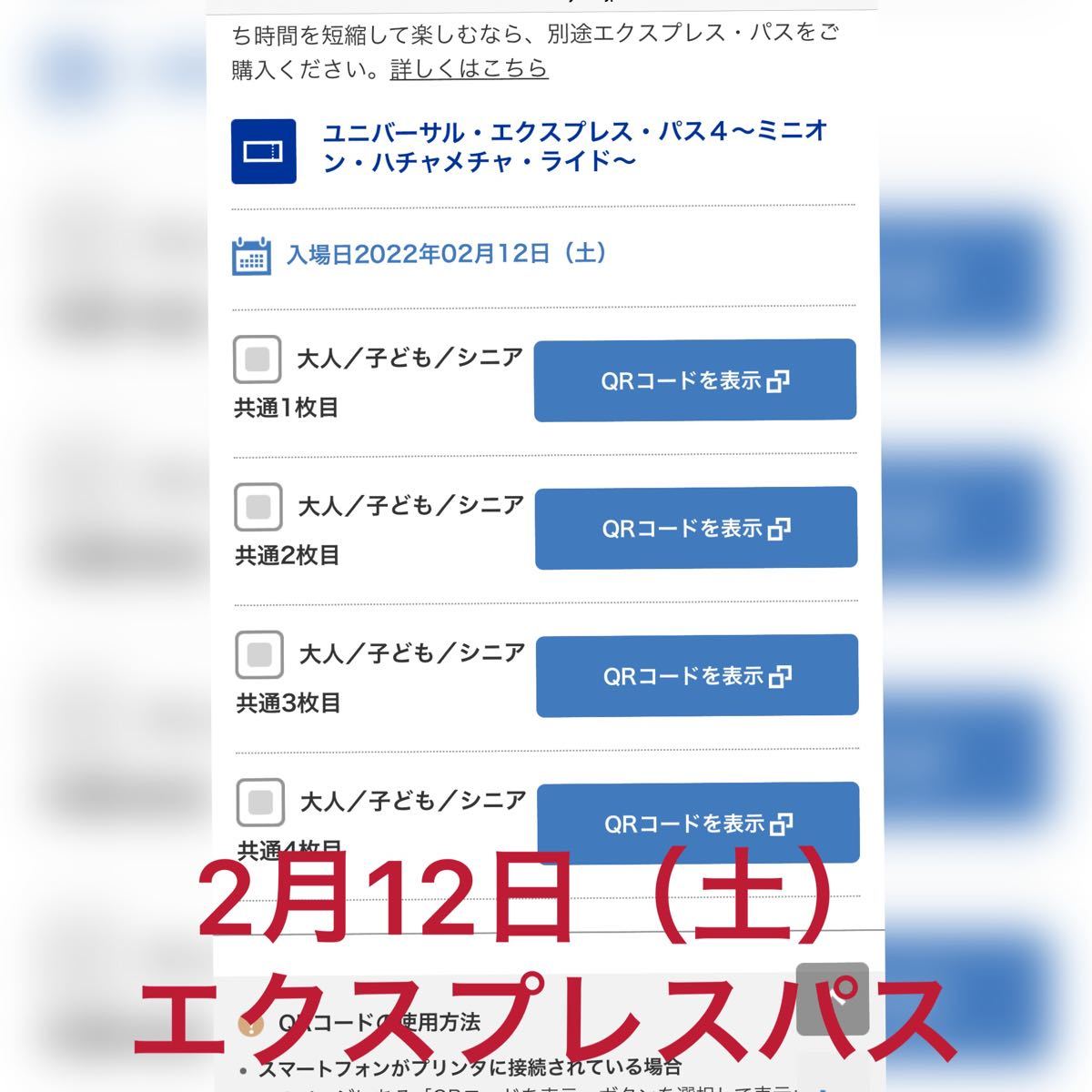 2022年2月12日利用 ユニバーサル・エクスプレス・パス4 cnema.fr