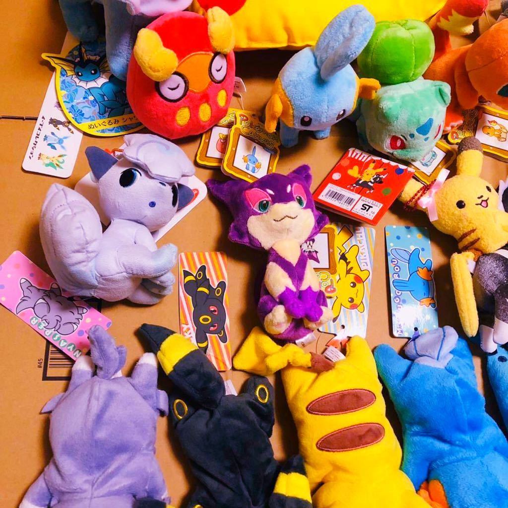 ポケモンセンター すやすやブラッキー ぬいぐるみ 全て紙タグ付き