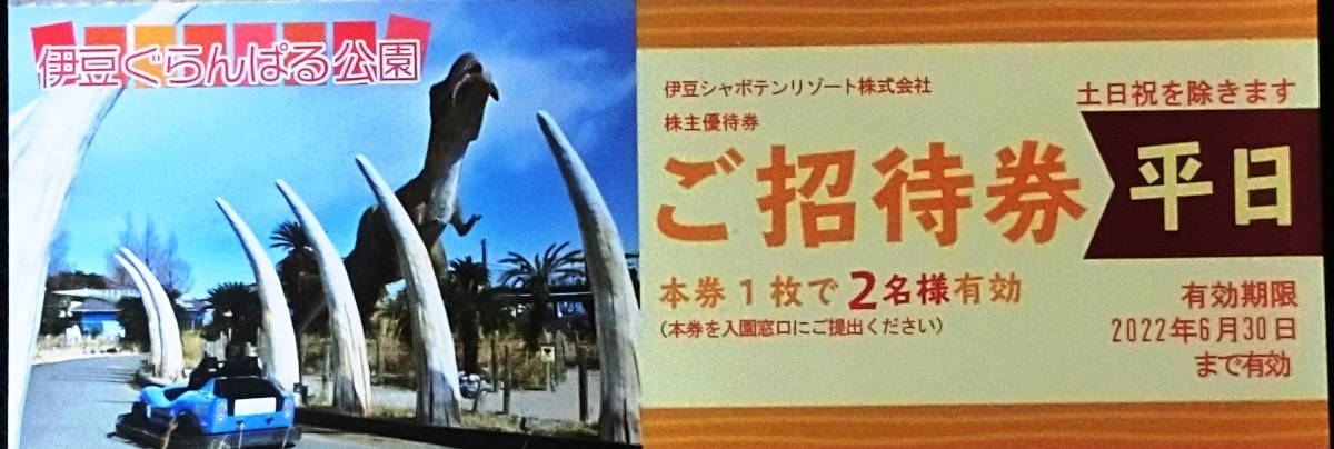 伊豆シャボテンリゾート 株主優待券 伊豆ぐらんぱる公園 平日券1枚 (1枚で2名様有効) 2022.6.30_画像1