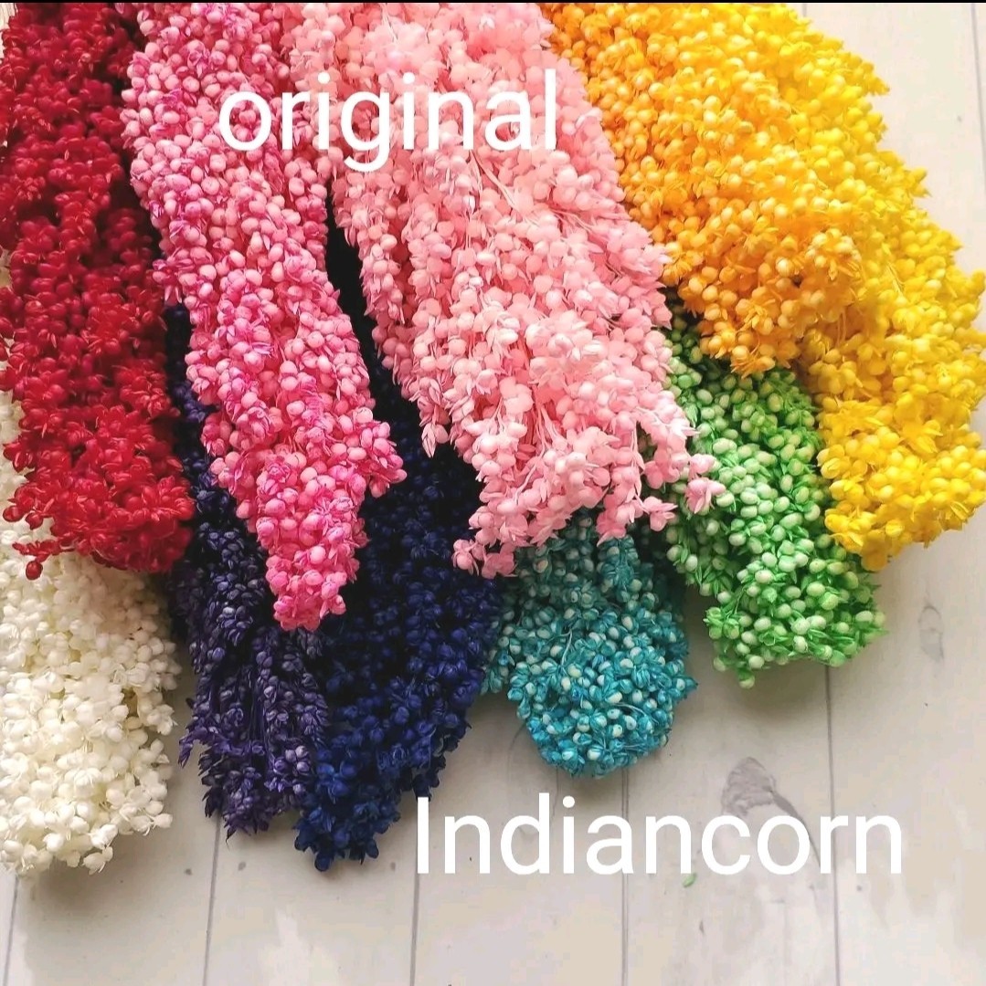 花材　オリジナルカラー　インディアンコーン