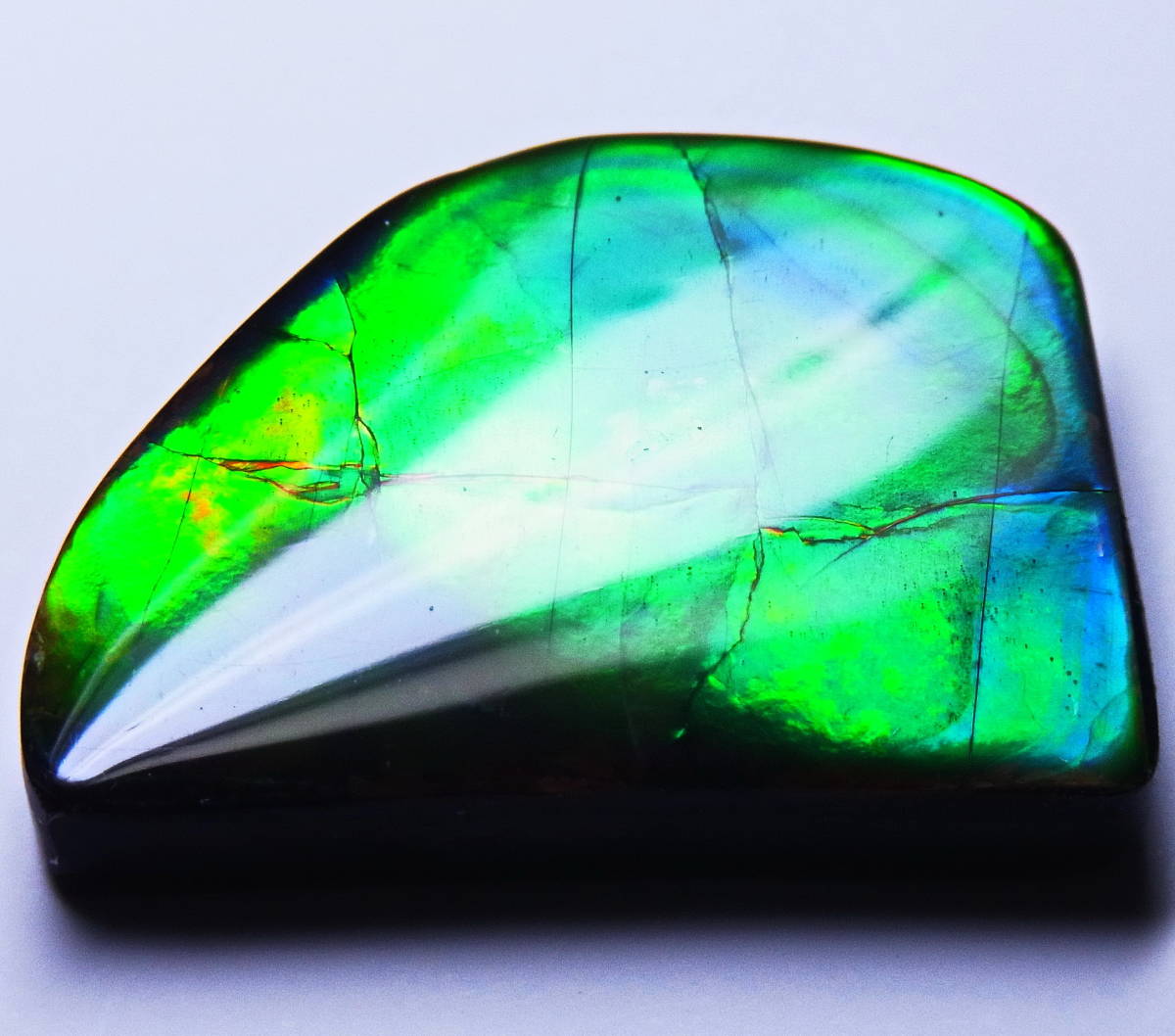 Ammolite Gemstone カナダ アルバータ州産 アンモライト フリー