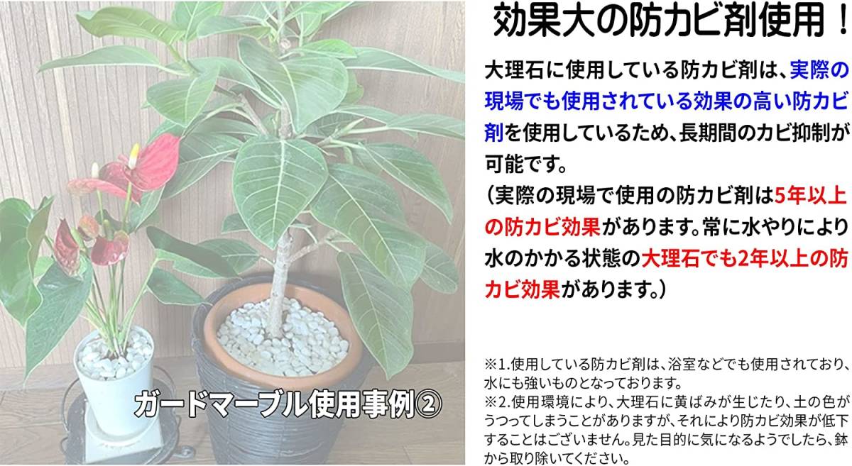 Paypayフリマ 観葉植物 植木鉢用カビ対策 ガードマーブル450ｇ 防カビ処理済み化粧石 4