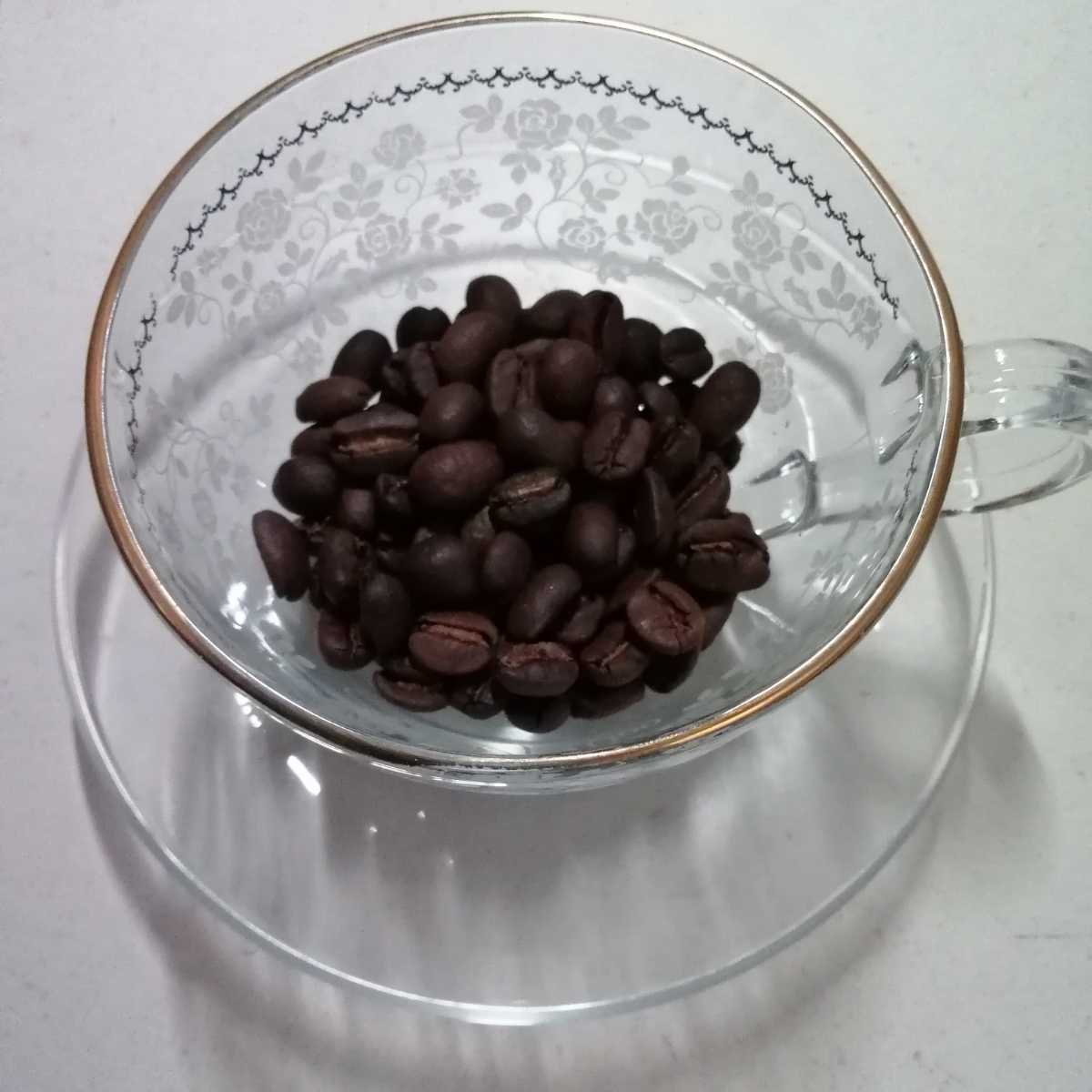 自家焙煎屋　コーヒー豆　トラジャランテカルア　日本JAS認証有機栽培　300g