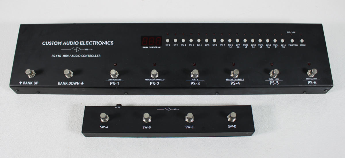 Custom Audio RS616 + RS-DSW カスタムオーディオ-
