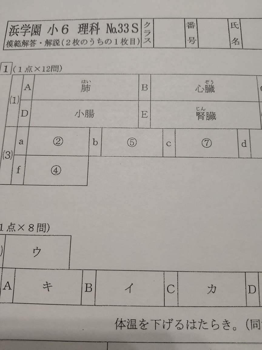 浜学園 復習テスト 小6 Sクラス 国語・算数・理科 ３科目 | www.mj