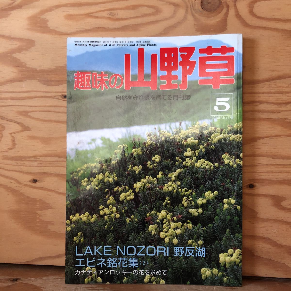 K2FDD3-220127 レア［趣味の山野草 1991年 5月号 NO.130］シダの胞子栽培 エビネ銘花集_画像1