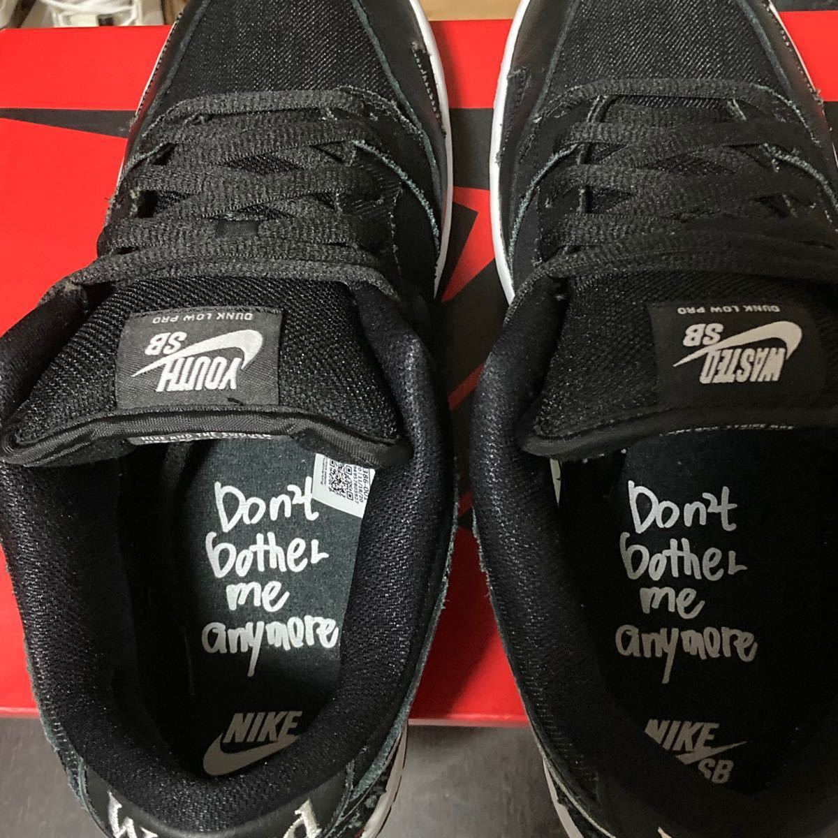NIKE SB DUNK LOW PRO QS ウェイステッド ユース コラボ ナイキ