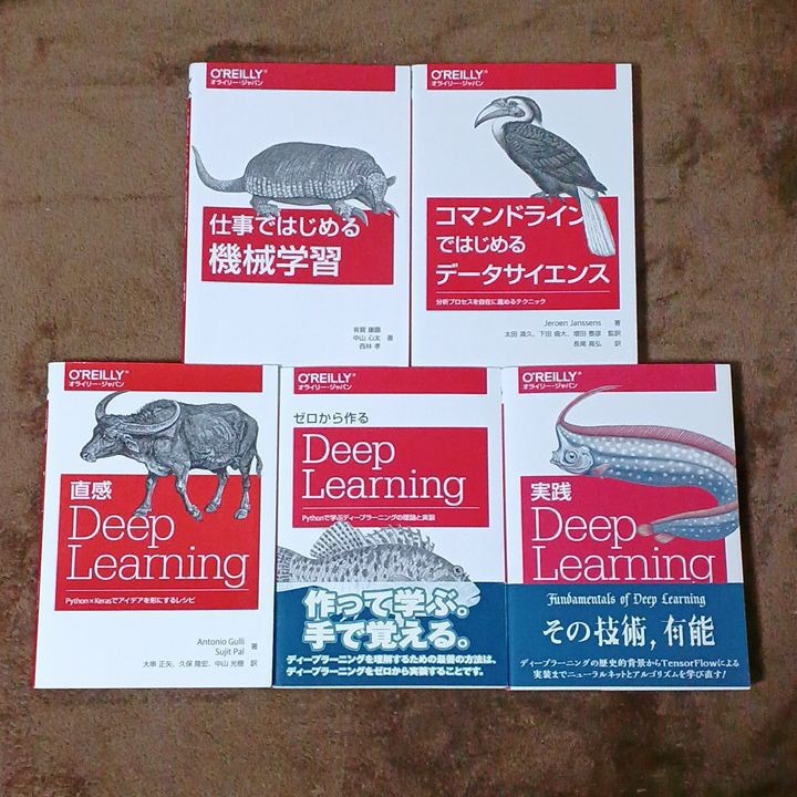 【クーポン可、即購入可】実践 Deep Learning Python Tensorflow 機械学習デザインパターン 1