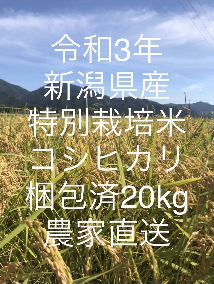 【新米】令和3年！新潟県産特別栽培米コシヒカリ玄米！20kg！農家直送！_画像1