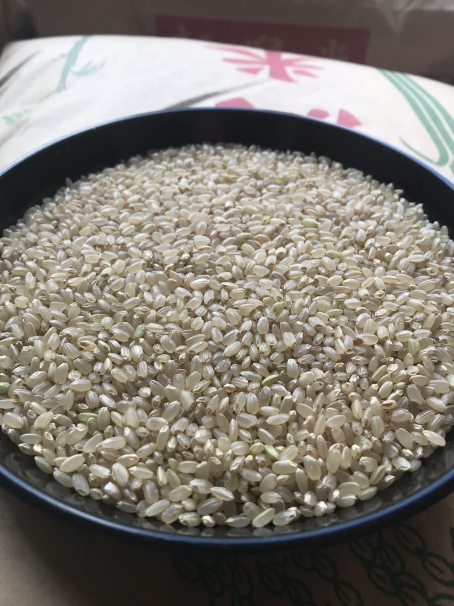 【新米】令和3年！新潟県産特別栽培米コシヒカリ玄米！20kg！農家直送！_画像2