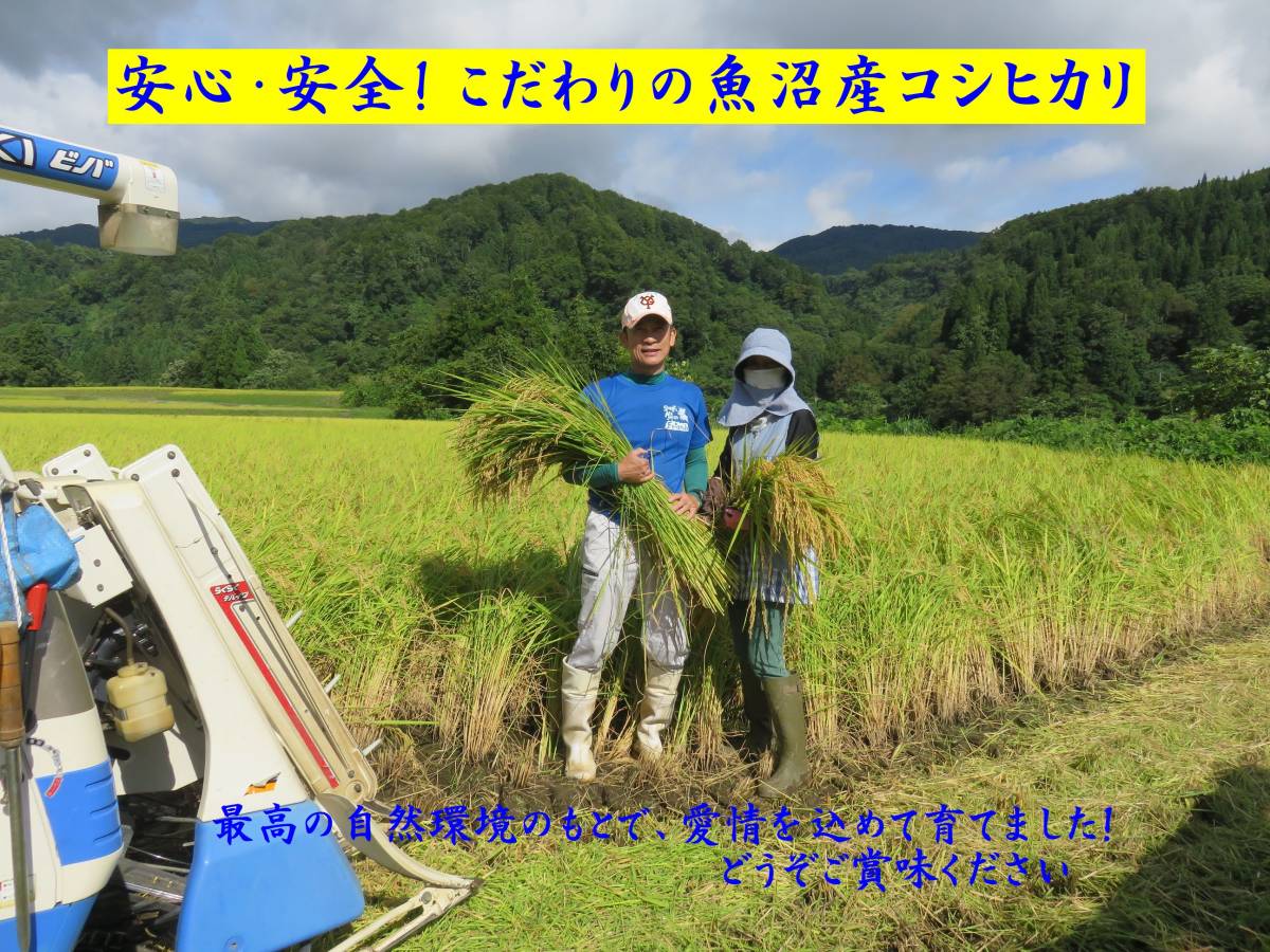 特別栽培米!令和3年産魚沼産コシヒカリ玄米30kg☆食味特A☆!_画像1