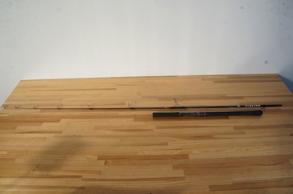 ダイワ Daiwa ソルティガ SALTIGA C71MLS・J □Sm521020SK www.gastech
