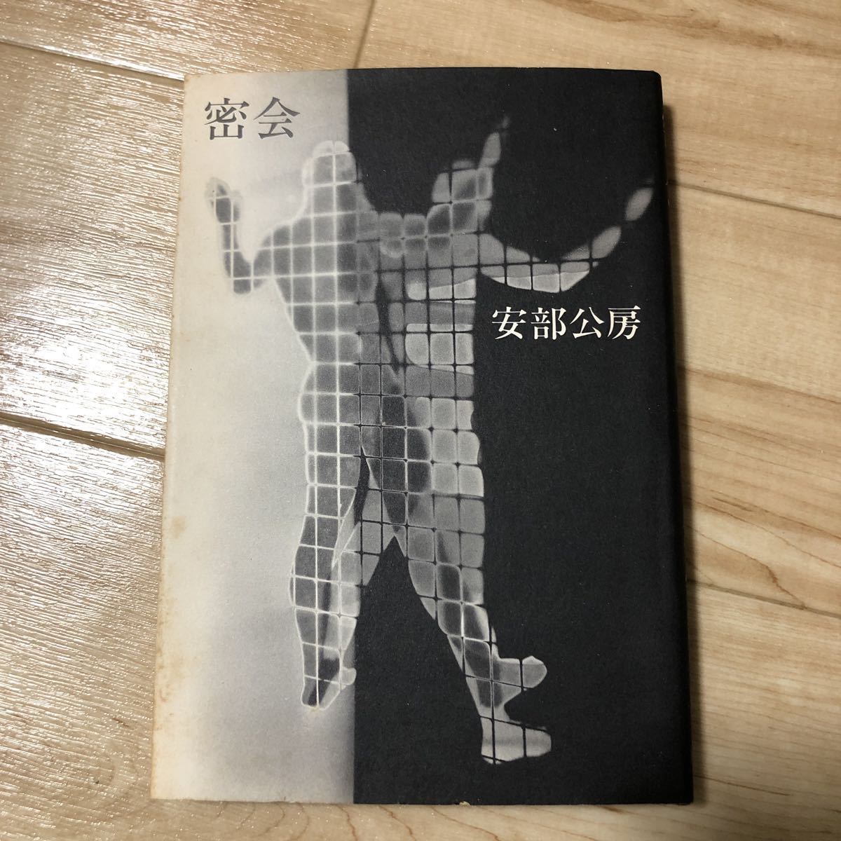 純文学書き下ろし特別作品 密会 安部公房 新潮社_画像2