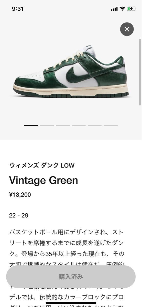 Nike WMNS Dunk Low
