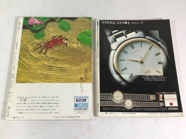 A●2052●売切 昭和 スター 本 2冊セット 美空ひばり 愛蔵版 1989 石原裕次郎 決定保存版 1987 毎日グラフ 文藝春秋 追悼 現状品_画像2