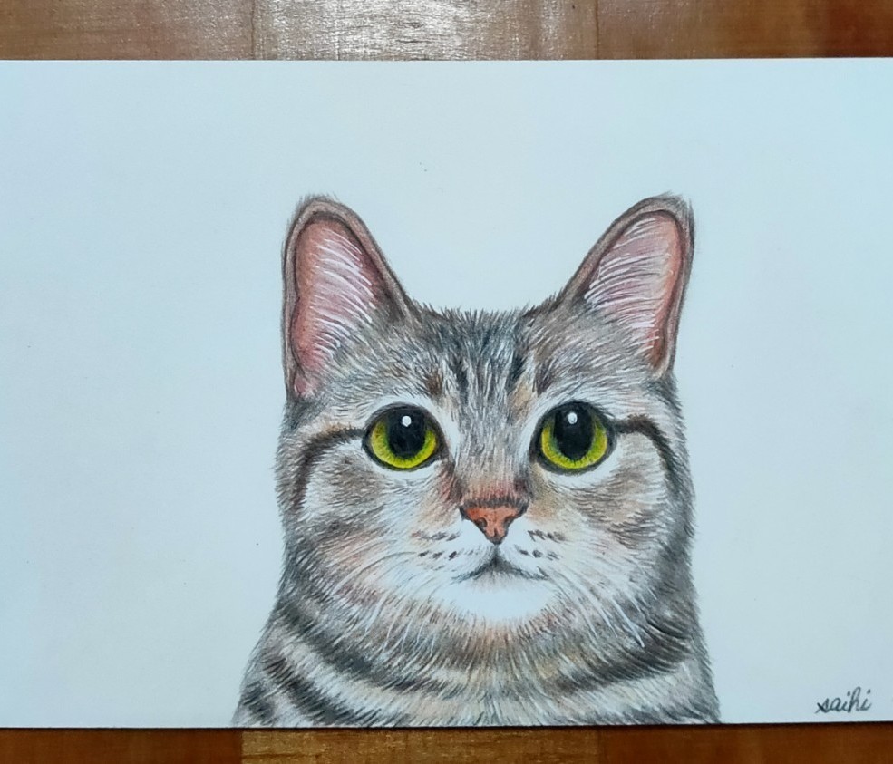 キジトラ猫色鉛筆画｜PayPayフリマ