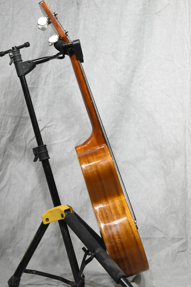 人気特価 試し弾きのみ ケース付き UKC-3800 ウクレレ コンサート アラモアナ - 弦楽器