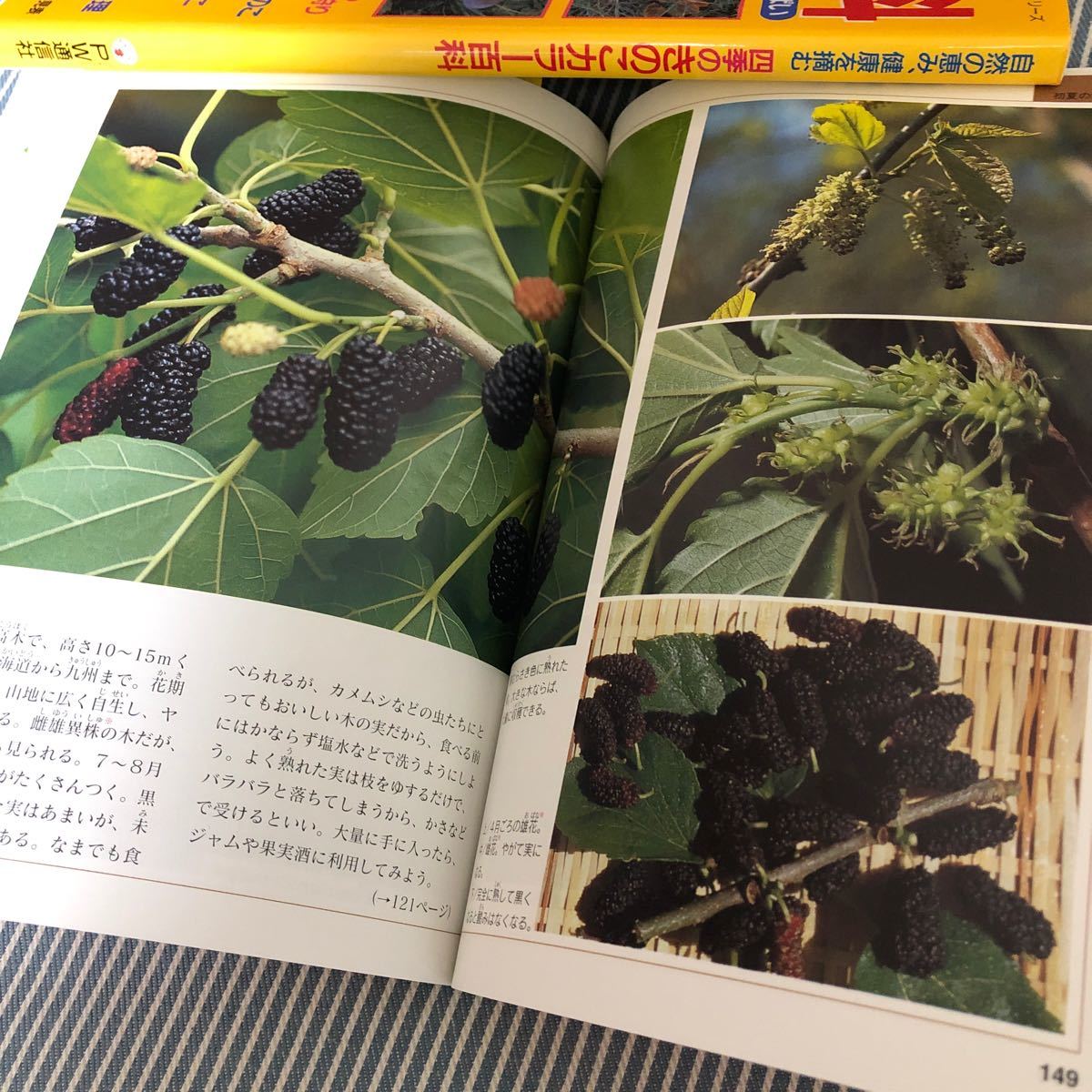 Paypayフリマ 山菜と木の実の図鑑 きのこ百科 2冊セット