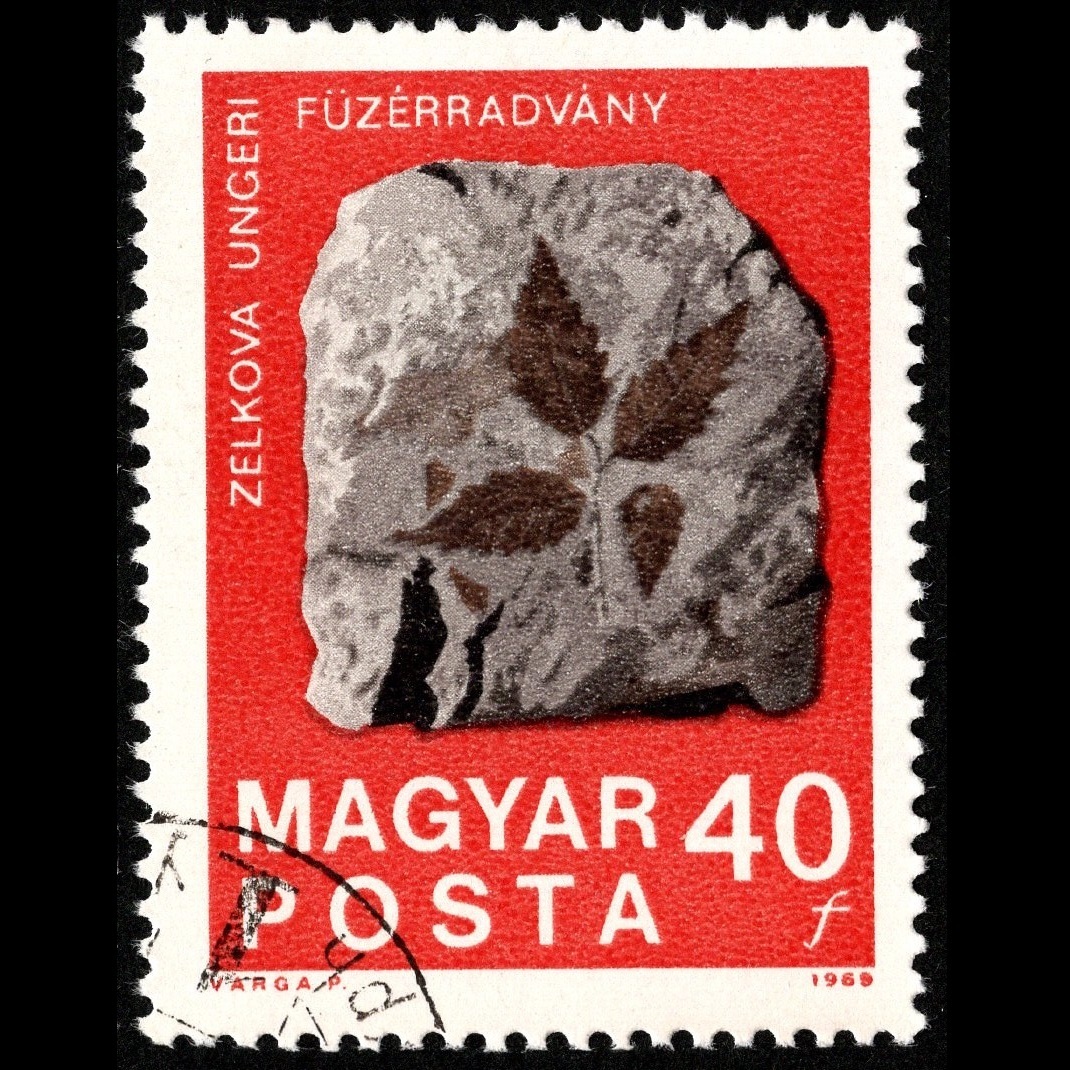 郵便切手 ハンガリー MAGYAR POSTA [ケヤキの葉/硫カドミウム方解石閃亜鉛鉱結晶/化石魚/水晶/アンモナイト] Stamps Fossils and Minerals_画像3
