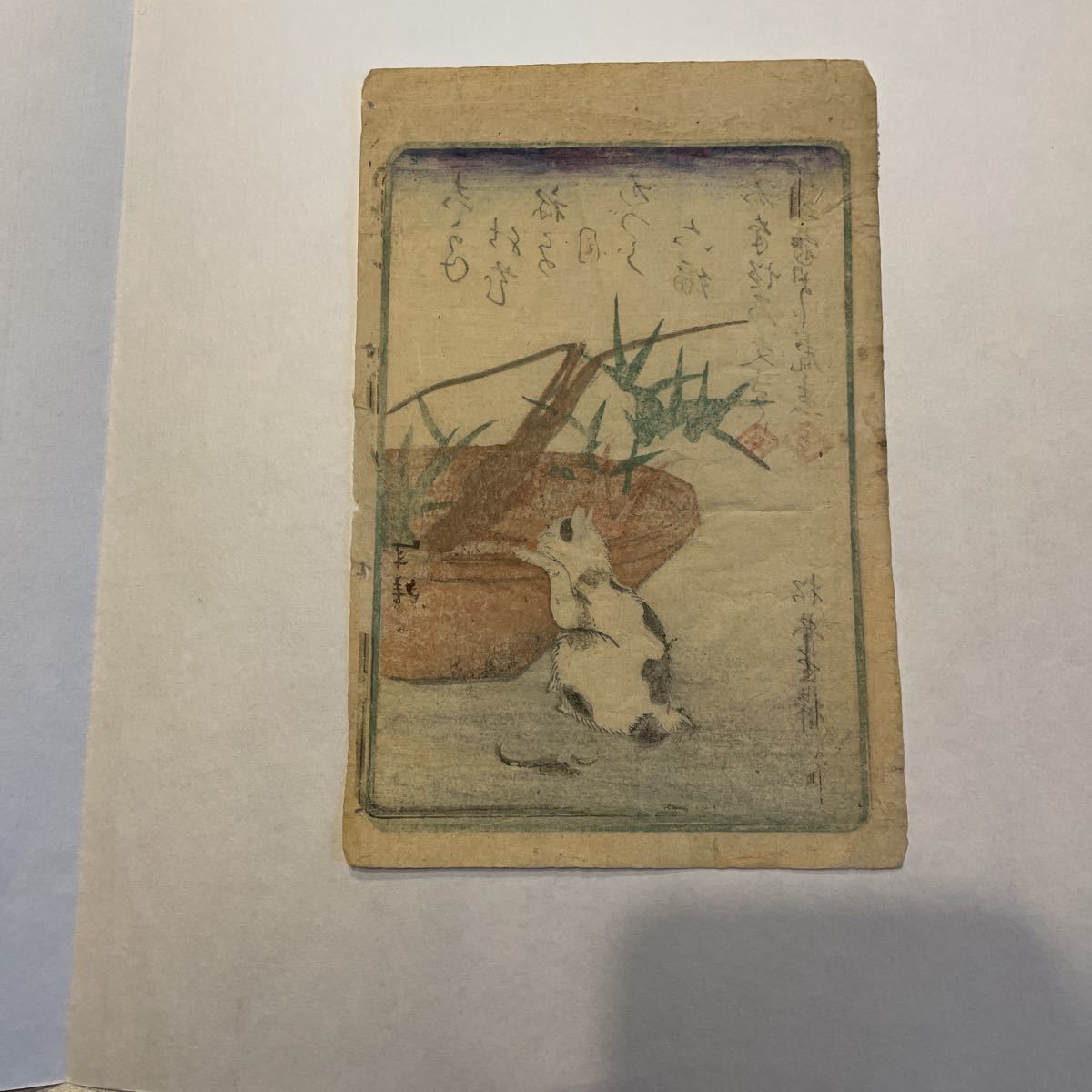 安いNEW ヤフオク! - 即決 真作 芳虎/猫の木版画(検索=美人画 周延 ... 通販高品質