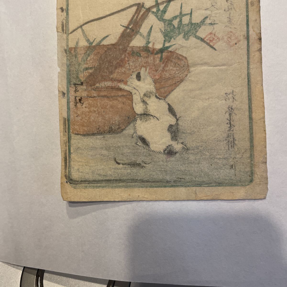安いNEW ヤフオク! - 即決 真作 芳虎/猫の木版画(検索=美人画 周延 ... 通販高品質