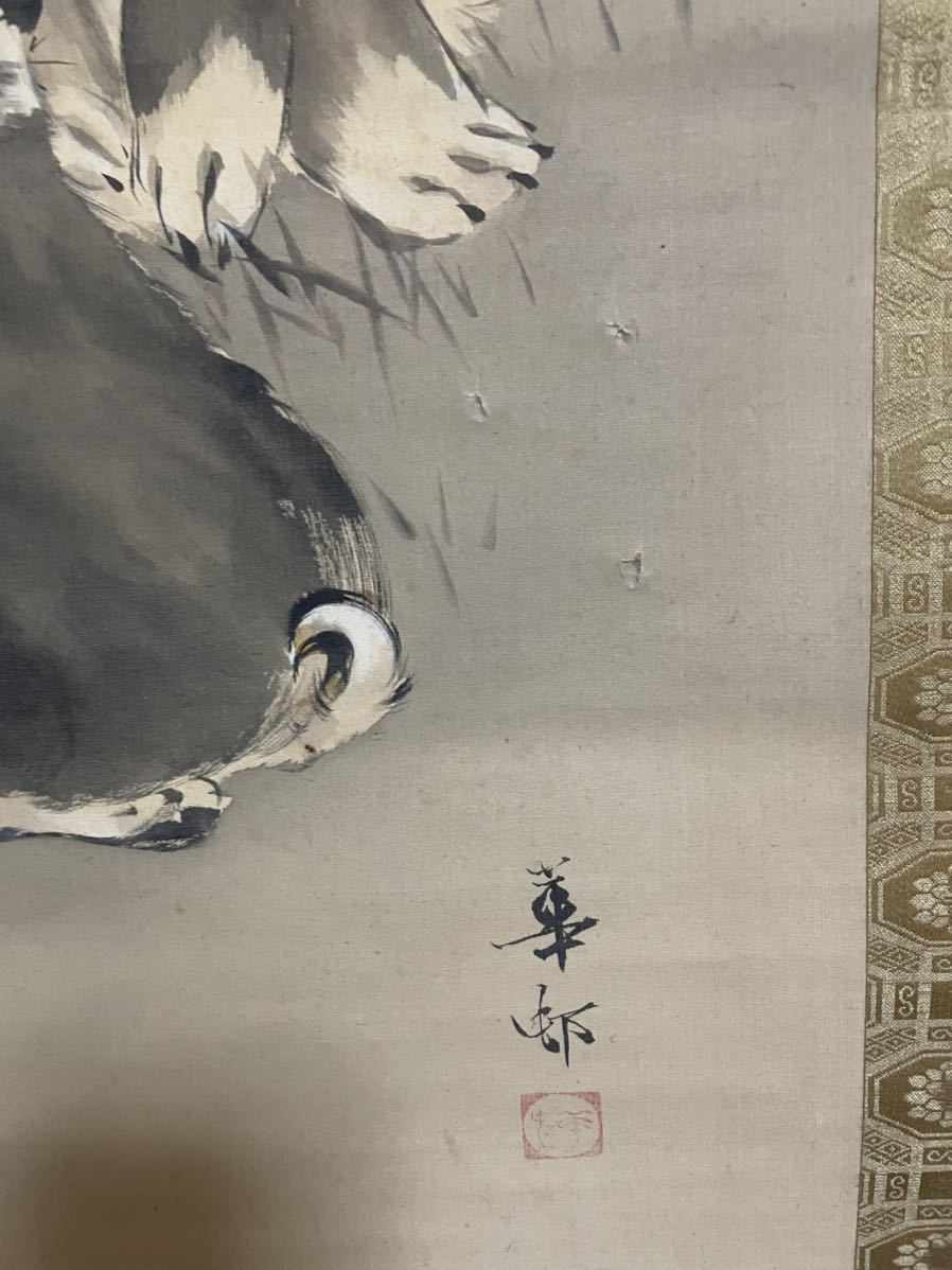 即決!模写 鈴木華邨 子犬イヌいぬの図 掛軸肉筆(検索=渡辺省亭 即決!模写 鈴木華邨 子犬イヌいぬの図 掛軸肉筆(検索=渡辺省亭