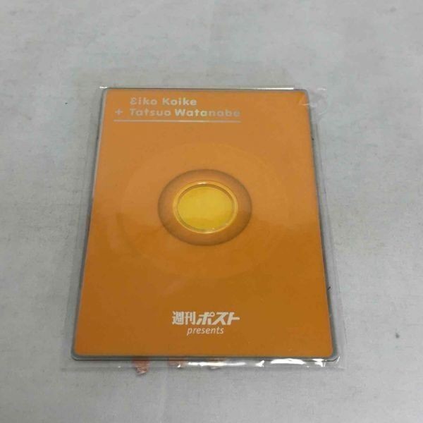 P42491 週間ポスト 付録 小池栄子 渡辺達夫 CD-ROM 送料180円の画像1