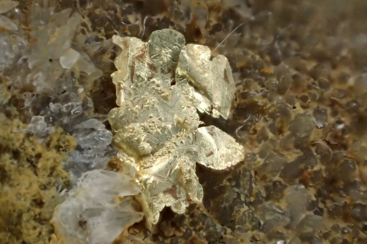 ＴＫＹ 自然金 天沼鉱山 ◆ 群馬県 みなかみ町 天沼鉱山 ◆ 61.6ｇ（自然金 金鉱石 取扱中）