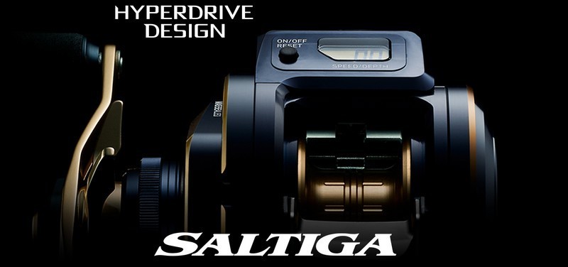 未使用 新品【DAIWA SALTIGA ダイワ ソルティガ IC 100P-DH ベイト