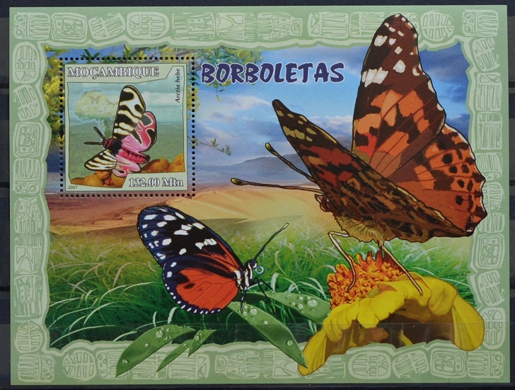 「BRJ24」モザンビーク切手　2007年　蝶々_画像1