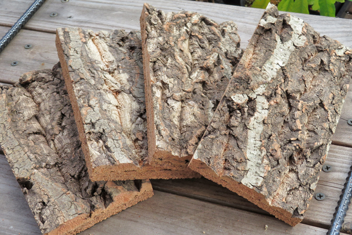 5個　特殊コルク　10×20ｃｍ（厚約15-20ｍｍ）洋蘭　原種　チランジア　エアープランツ　熱帯植物　ラン　コルク　樹皮　_画像1