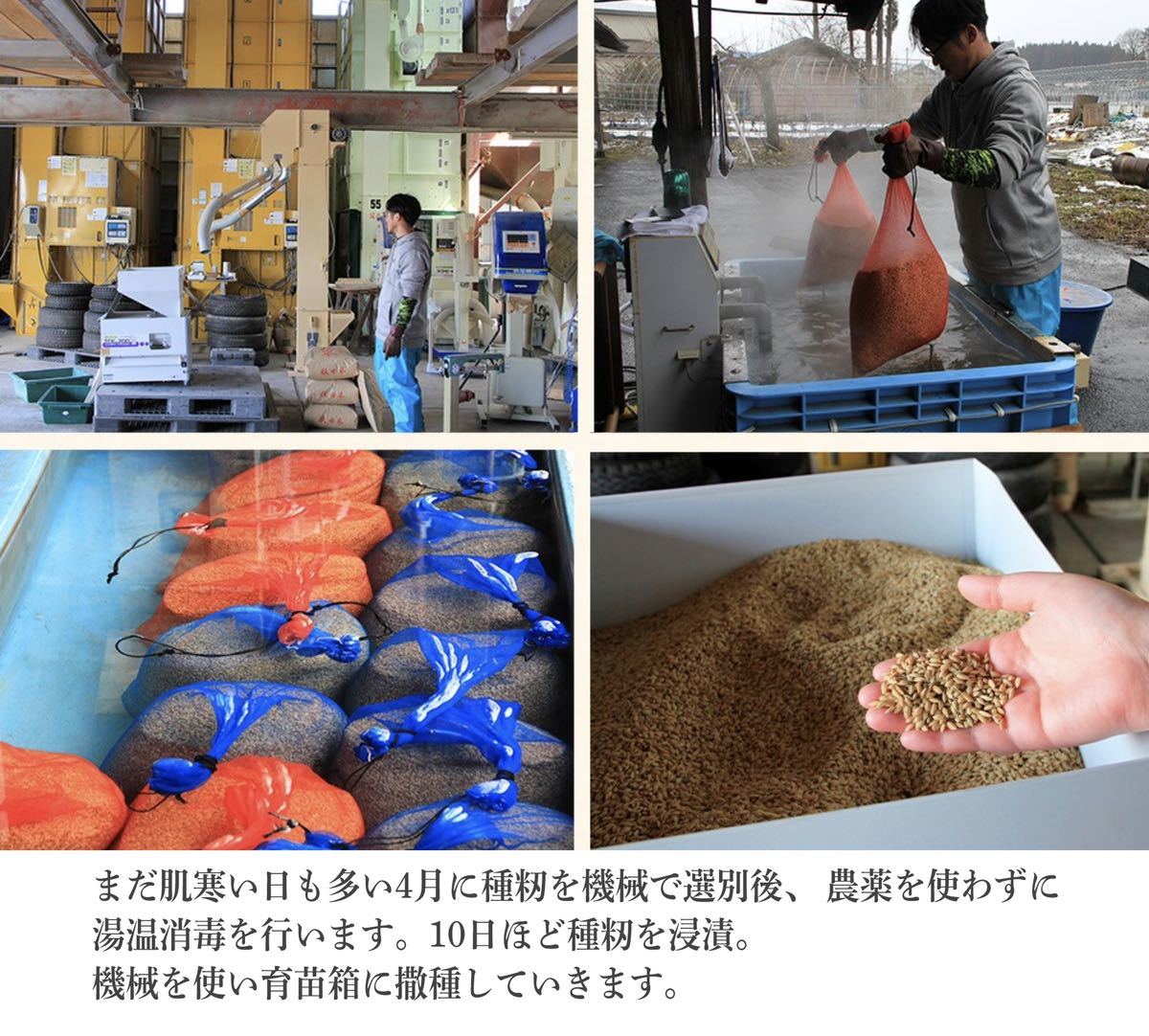 ◆期間特価★玄米30kg◆大自然の伏流水でできた100%あきたこまち　令和3年産新米★送料無料！秋田県産農家直送_画像8