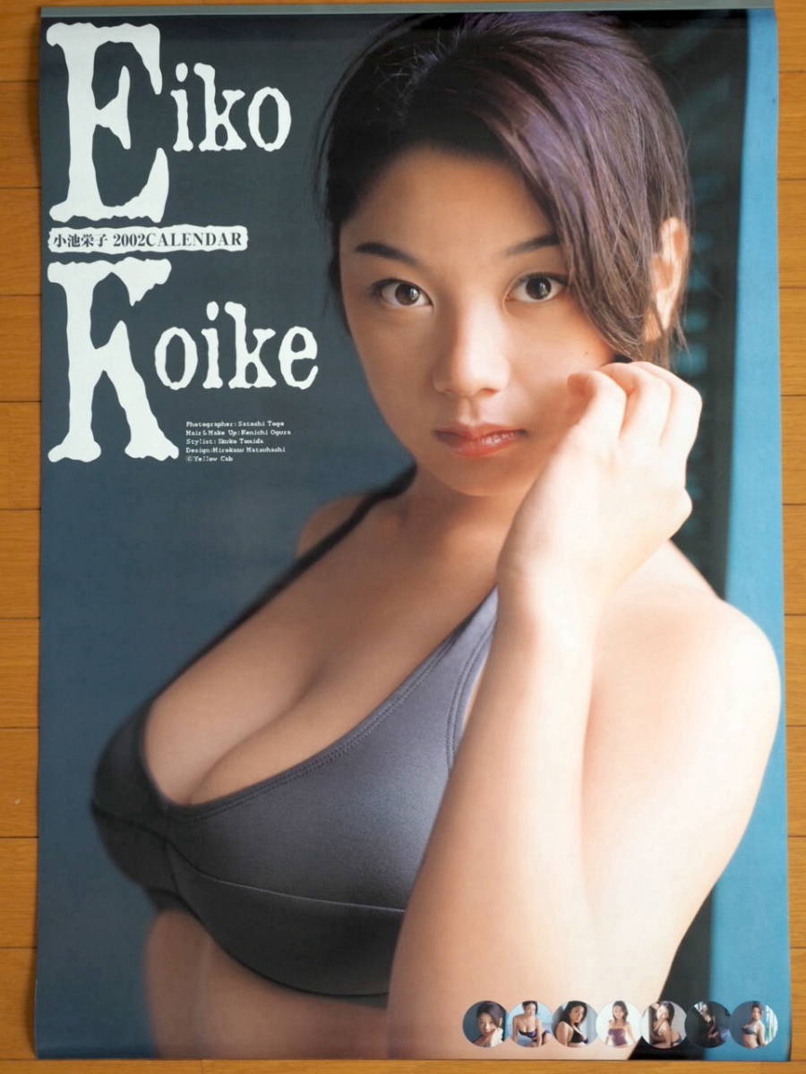 2002 year Koike Eiko calendar unused storage goods 