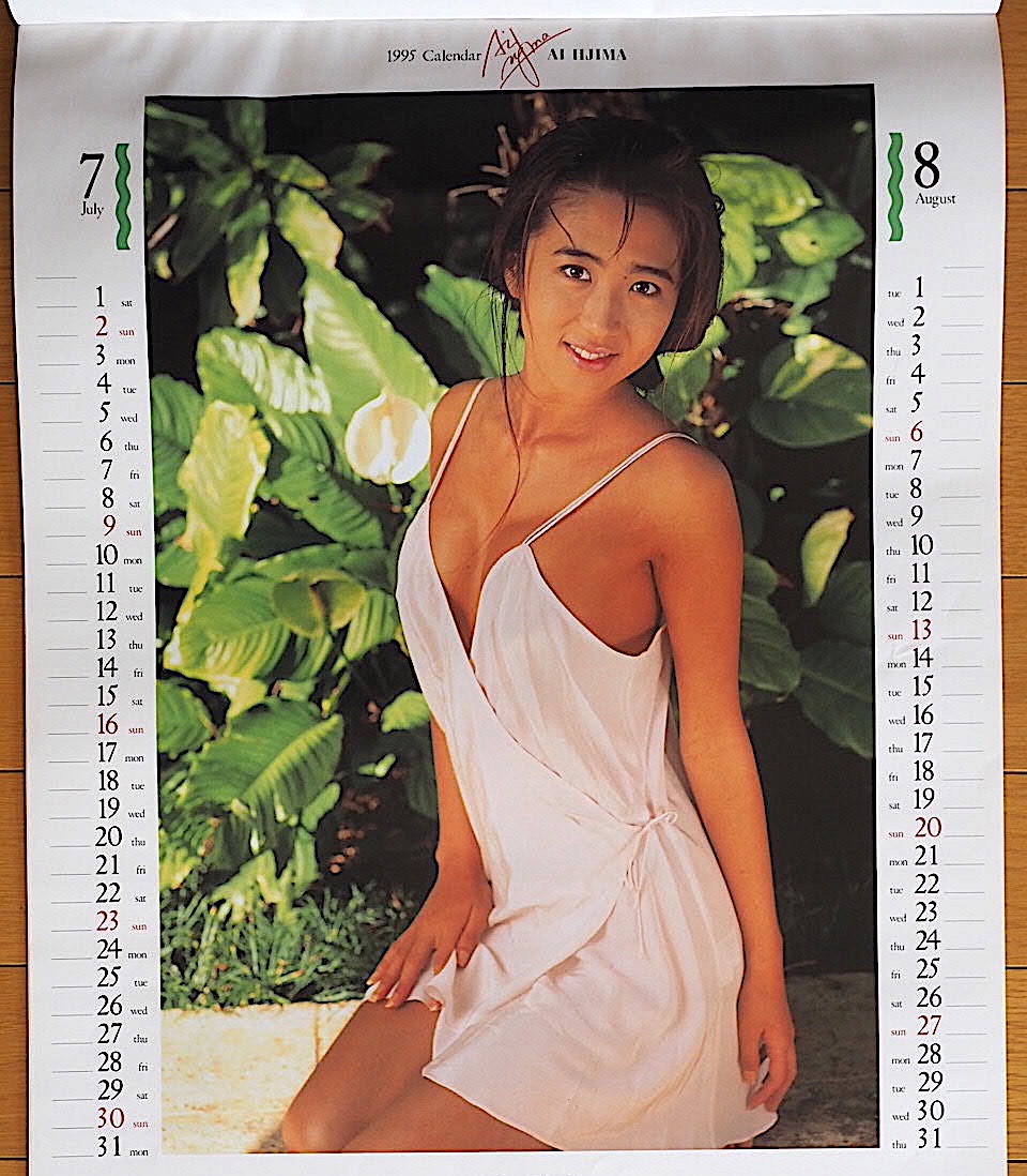 1995 year Iijima Ai calendar unused storage goods 