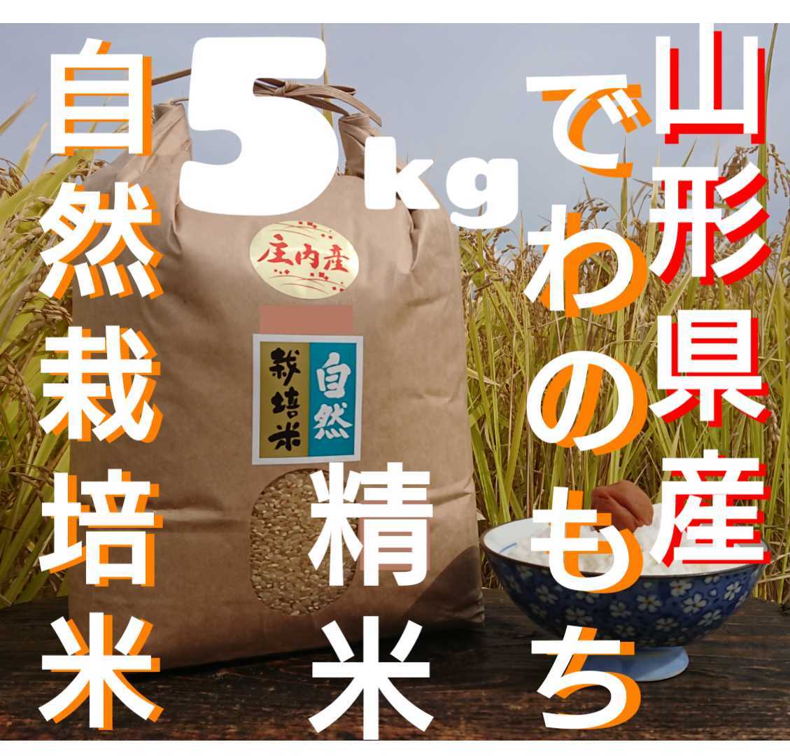 ホットセール 自然栽培米 無農薬 4年産 でわのもち 山形県産 庄内米