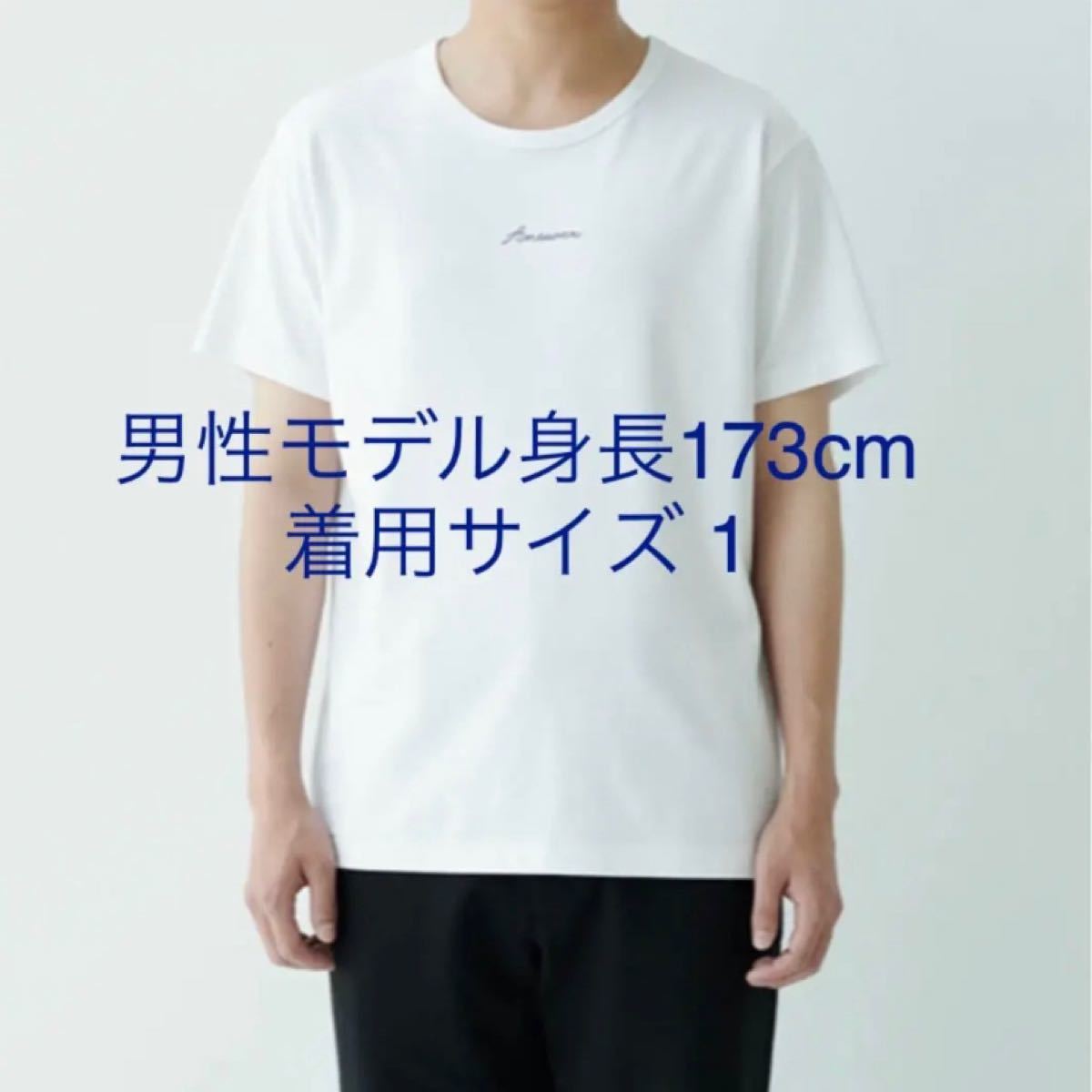 佐藤健 プロデュース A Tシャツ サイズ 1 (M)