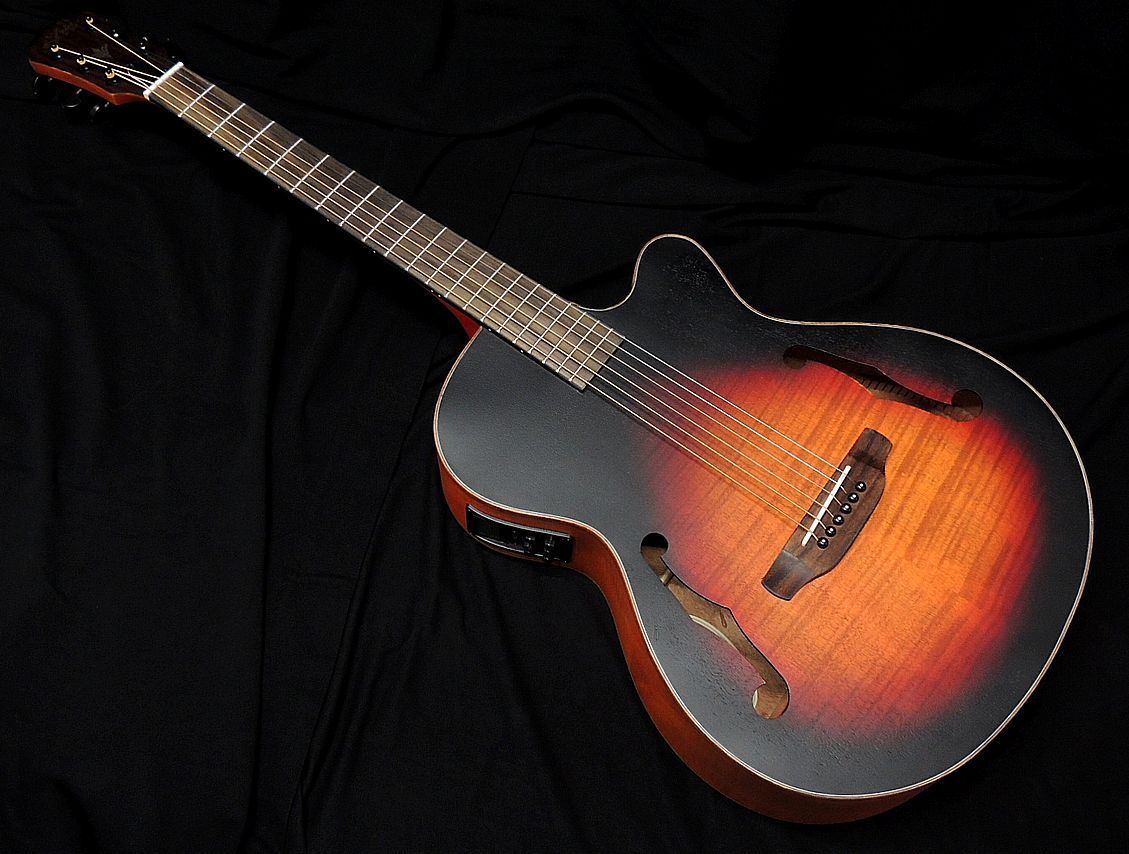 上品な ARIA FET-F2 BS Fホールエレアコ アコースティックギター オリジナルカラー 送料無料 別注カラー ブラウンサンバースト 