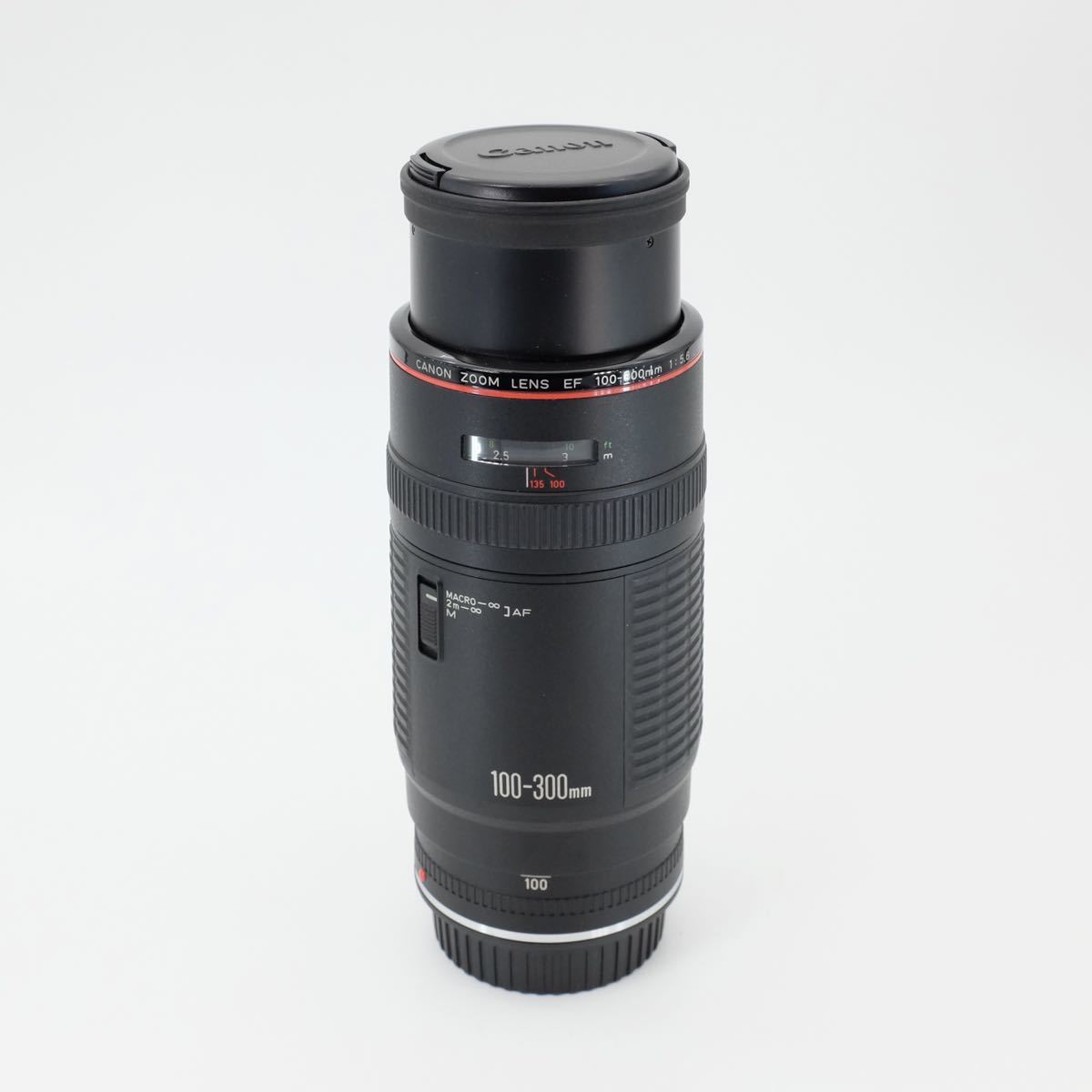 Canon キヤノン EF 100-300mm 1:5.6 L Canonレンズ | www.csi.matera.it