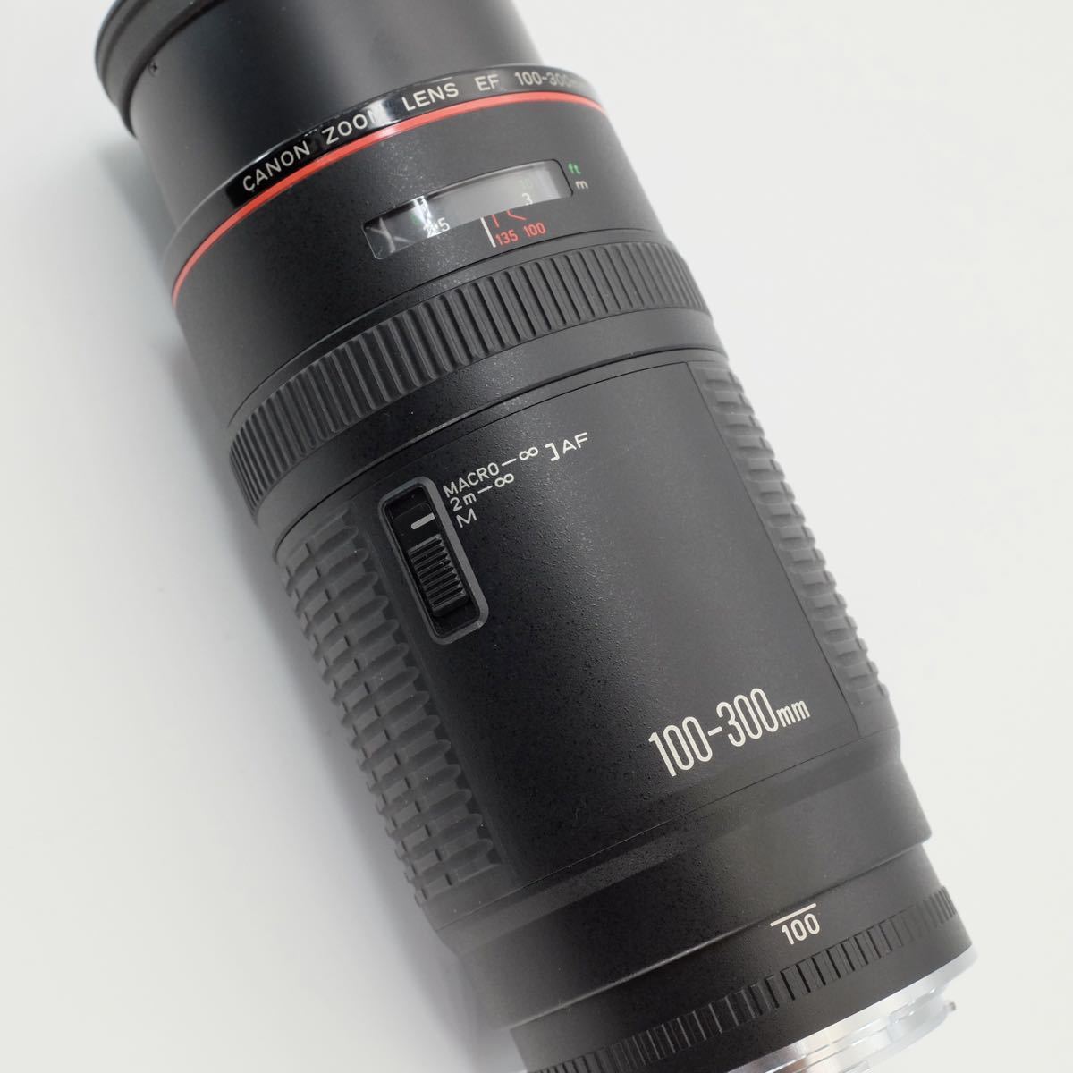 www.haoming.jp - Canon キヤノン 望遠レンズ 100-300mm 迫力の300