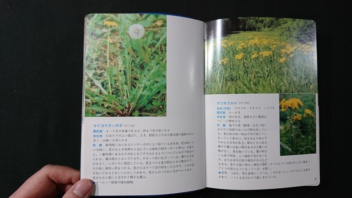 v* Niigata prefecture wild grasses illustrated reference book Niigata day .. industry company Showa era 55 year no. 3. retro * antique * collection /F01