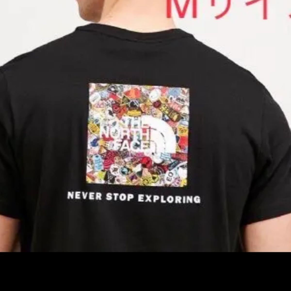 1月２８日まで　THE NORTH FACE Tシャツ　ロゴ　日本未発売